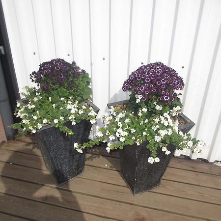 Artun Apartment Höfn Værelse billede